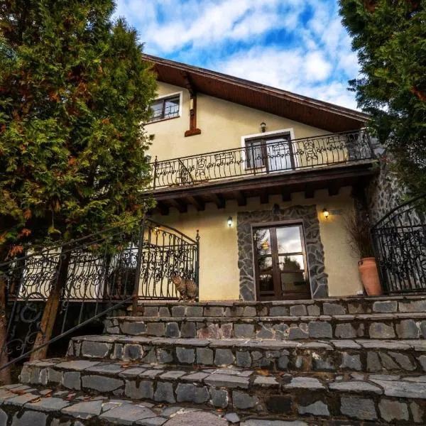 Hanul din Padure, hotel in Daneş