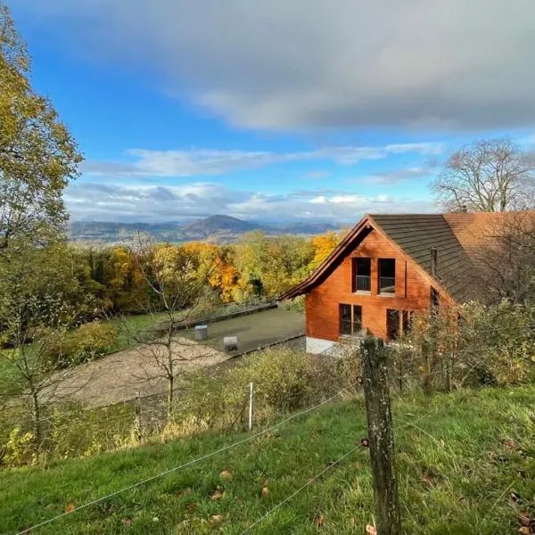 Wunderschönes Gästehaus mit grandioser Aussicht, מלון בNunningen