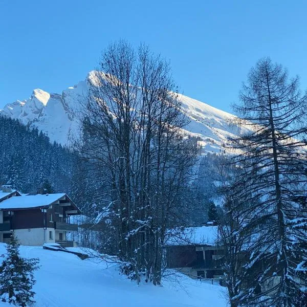 Les bouquetins, hotel in La Clusaz