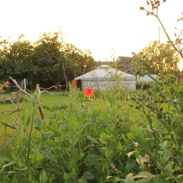 Todo se pasa Yurt, Hotel in Sint Annen