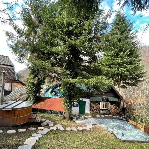 Cabana Farmec Ciubăr - Dézsabáj Kulcsosház, hotel in Sovata