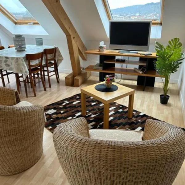 Appartement - Stiring-Wendel, hotel em Stiring-Wendel