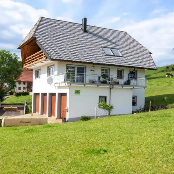 Haus Mühlenfranzenhof, отель в городе Шёнвальд