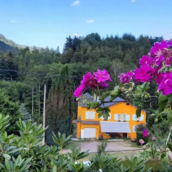 Gîte forestier du Moulin (10 pers), hotel in Raon-sur-Plaine