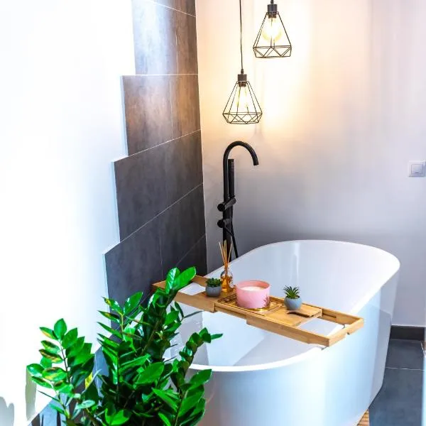 Thome Ego Flat, hotel a Cluj-Napoca
