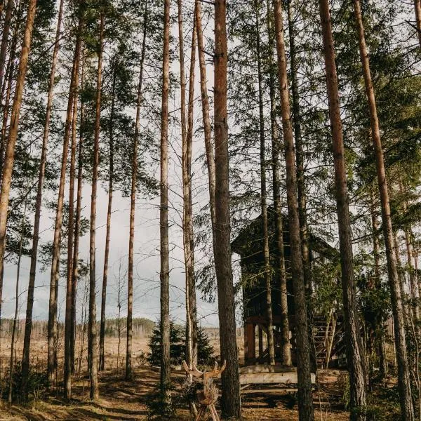 Viking Treehouse with Hot Tub, Sauna, Lake & Deer Park, hotel in Līči