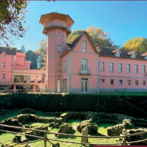 Palace Hotel & Spa - Termas de Sao Vicente, hotel in Penafiel