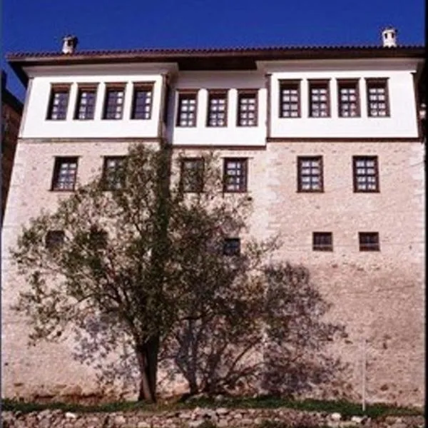Vergoula's Mansion, hotel v destinaci Kastoria