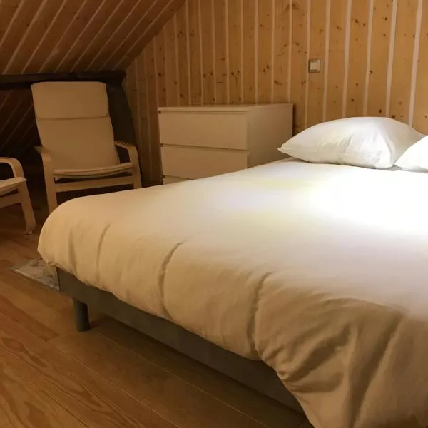 Studio de 35m2 au centre de Cusset – hotel w mieście Cusset