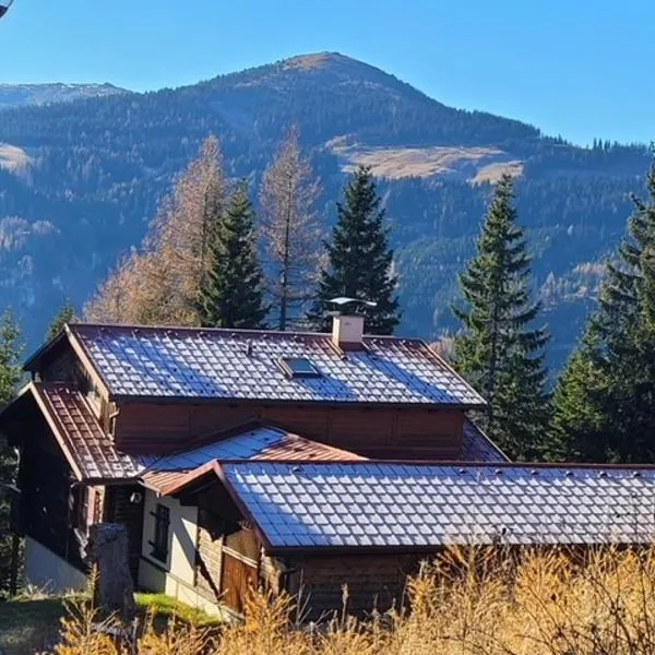 Haus Markus, hotel in Wolfsberg