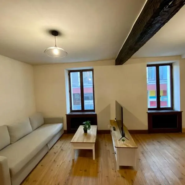 Appartement de 50m2 au centre de Cusset – hotel w mieście Cusset