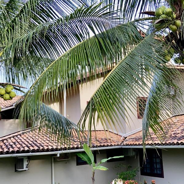 Apartamento Pimenta Rosa, 400m do mar, rua principal
