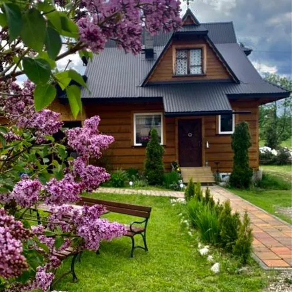 Domek Pod Kogutkiem Na Dolinie, hotel in Bukowina Tatrzańska