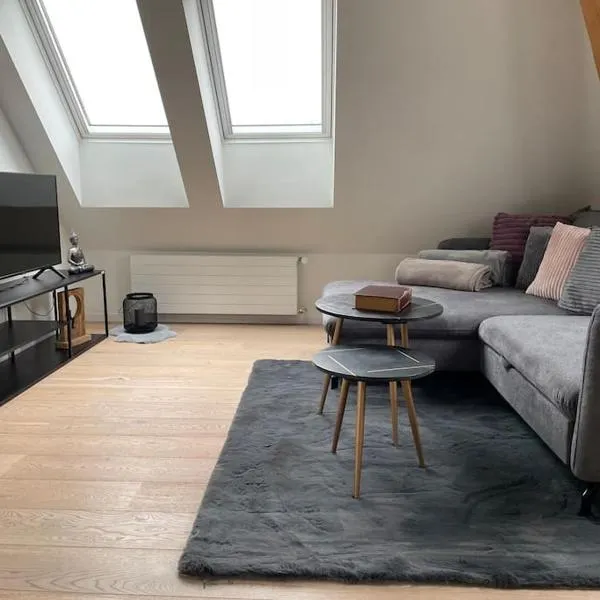 Gemütliche & zentrale Wohnung in der Stadt Zürich, hotel in Zürich
