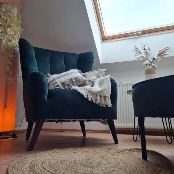 Apartamenty "Hubertówka", hotel in Ochla