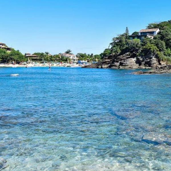 Búzius na Praia da Ferradura Frente mar