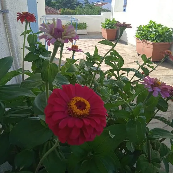 Anthemis Studios, hotel v destinaci Skala Eresou