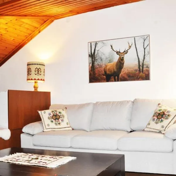 Cozy Loft with Fireplace & View, hotel in Metsovo