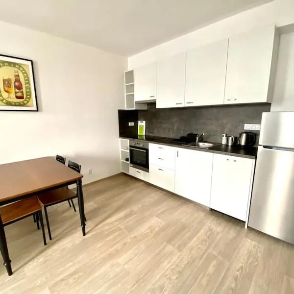 Two-room apartment with garage in the center, hotel in Plzeň