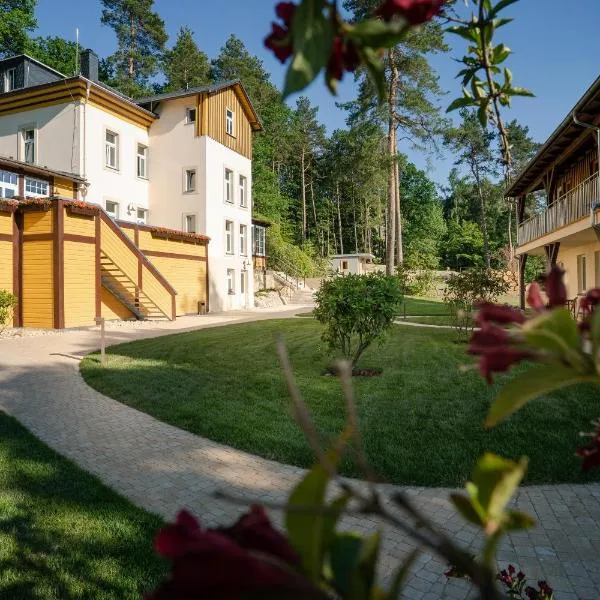 Waldidylle Gohrisch, Pension und Ferienwohnungen – hotel w mieście Kurort Gohrisch