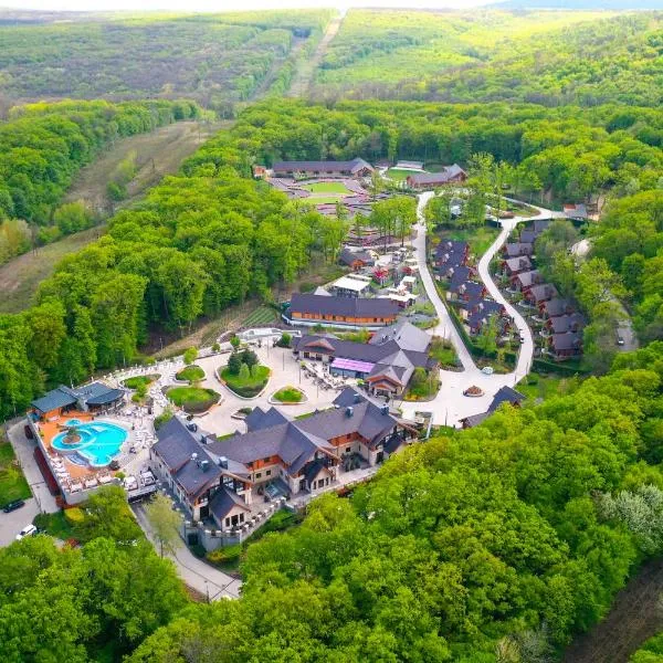 Avalon Resort & SPA, hotel Miskolctapolcán