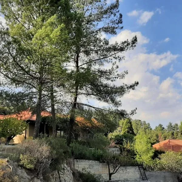 IRENE cottage, hotel a Kakopetria