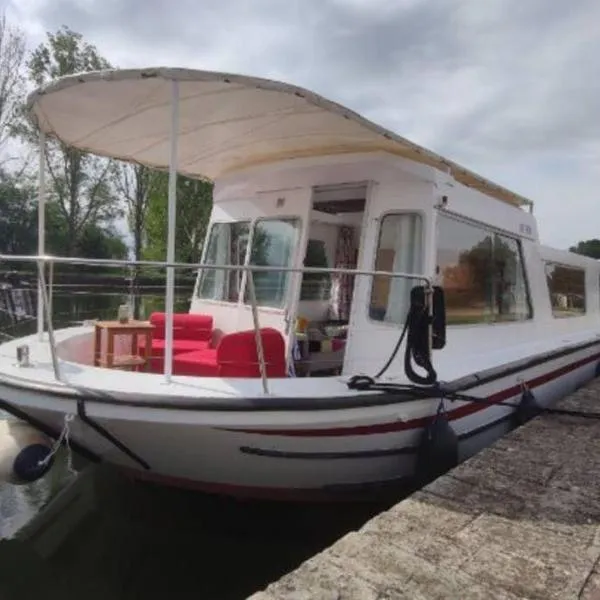 Libéllule péniche nuit insolite, hótel í Briennon