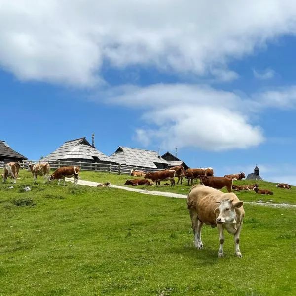 Chalet Korosica Velika Planina, hotel v destinaci Stahovica