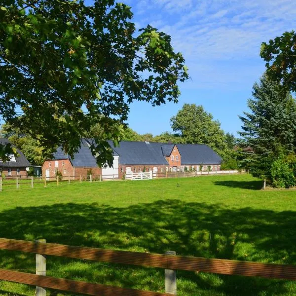 Hof Diederichs, hotel v destinaci Bohmstedt