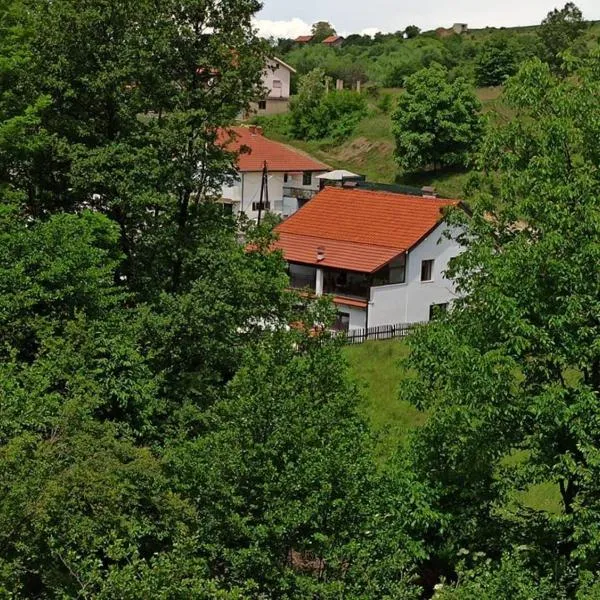 Villa River Pehchevo, hotel in Dvorište