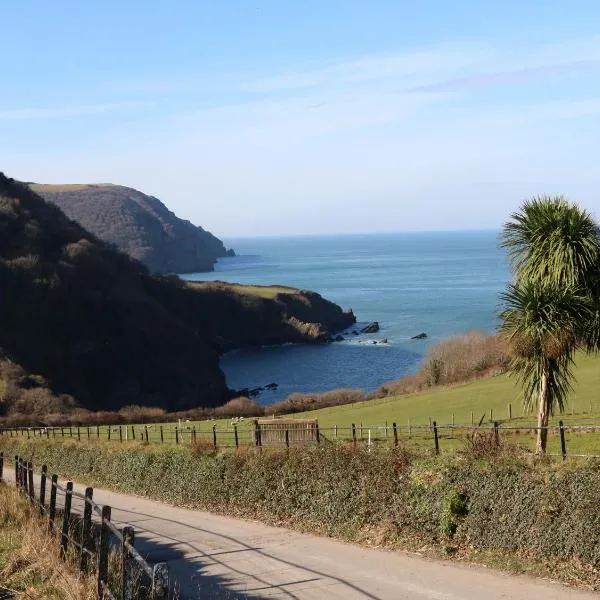 3 Manleigh Park, hotel in Ilfracombe