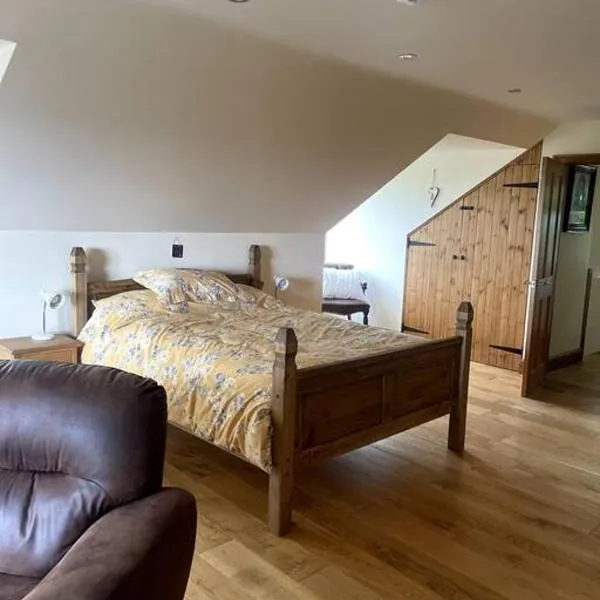 Open plan area sleeping up to 2 adults & 2 children, hotell i Great Torrington