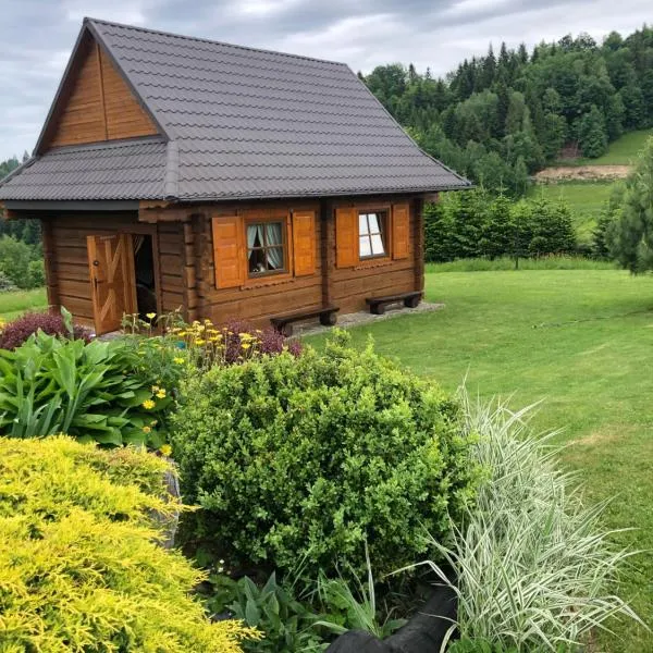 Przysłopiańska dacza, hotel Obidzában