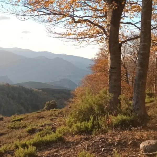 Viesnīca Alojamientos Zabala en Anguiano pilsētā El Rasillo