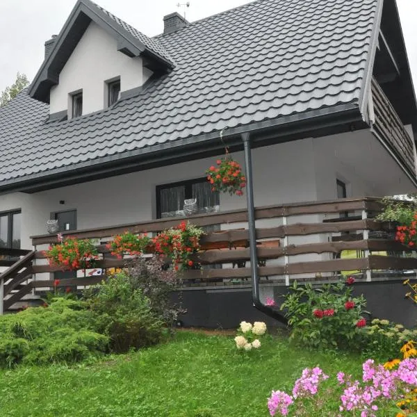 Dom nad Bliznem, hotel in Mołowiste