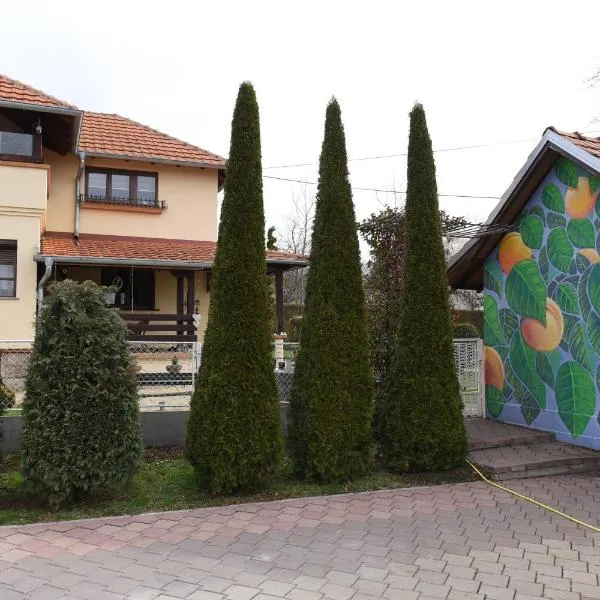 Seosko turističko domaćinstvo Kajsija, готель у місті Mrčajevci