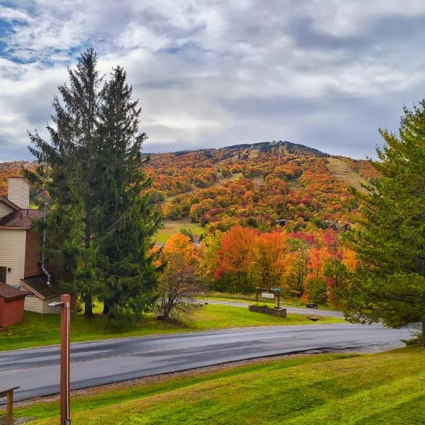 Mountain Village 5H Unit B, hotel in Dover