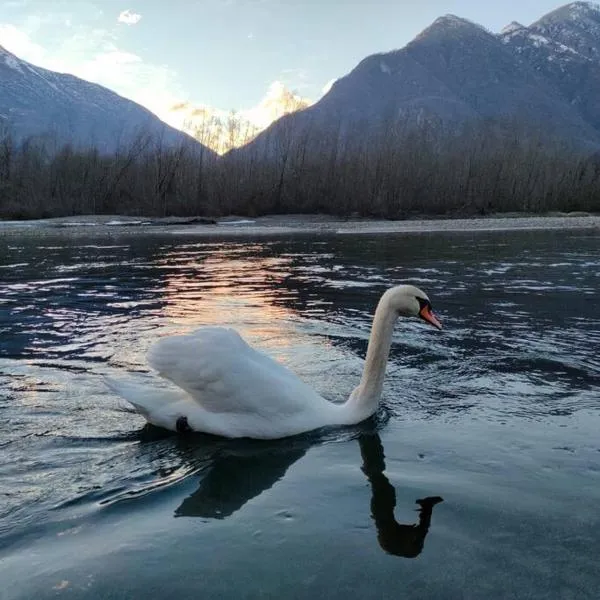 Il nido dei cigni, hotel v mestu Vogogna