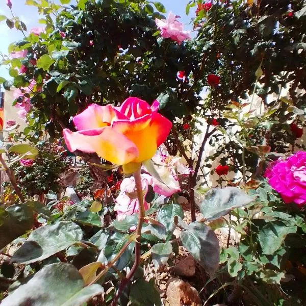 Las/Rosas, hotel v destinaci Orgaz