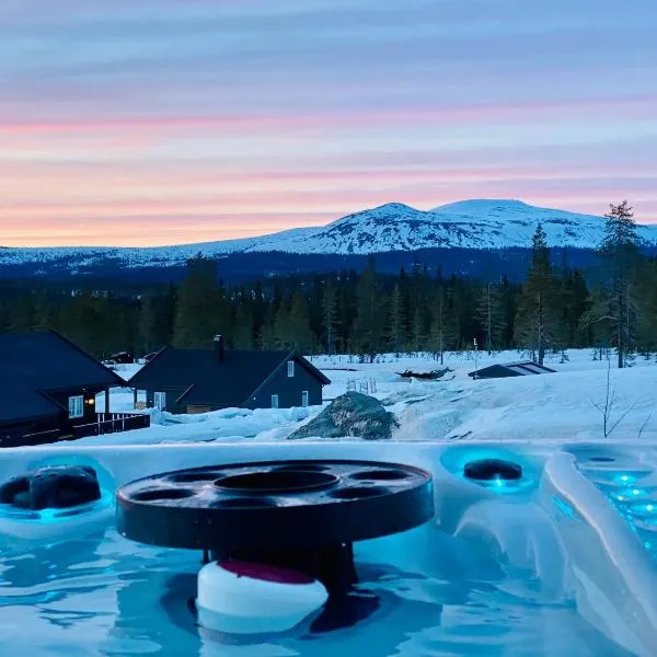 Hytte Trysil SPA, отель в Вике