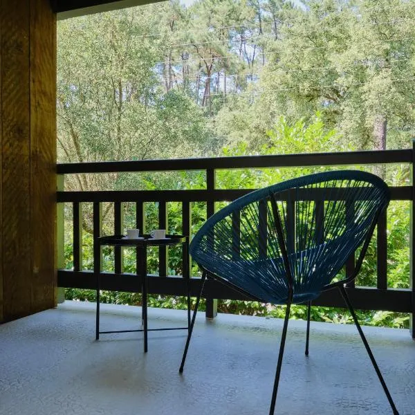 Nid de Ruben, Villa Hostal Naou Hossegor Wifi Netflix Sauna, hotel v destinácii Soorts-Hossegor