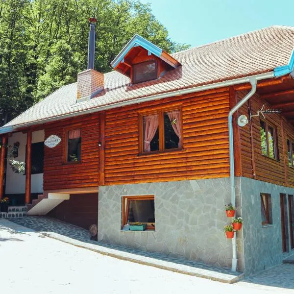 Etno domaćinstvo Milenković, hotel in Stenjevac