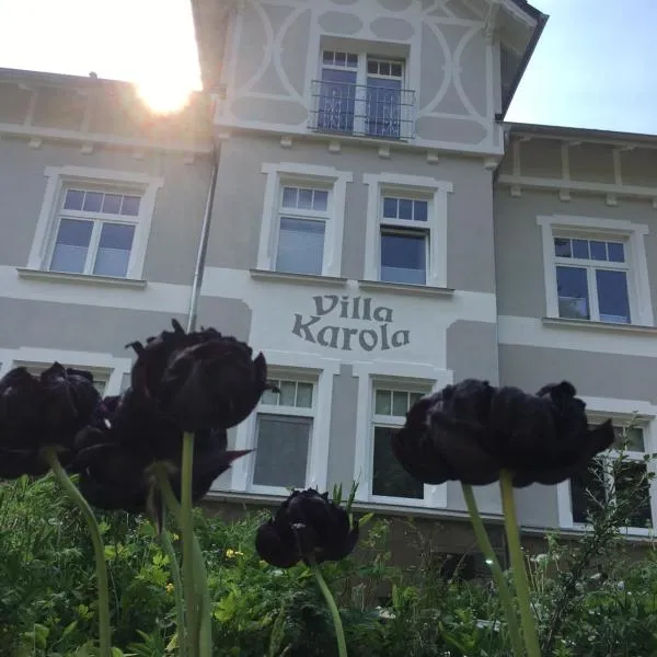 Dach-Maisonette "Villa Karola" an der Therme, hotel in Bad Sulza
