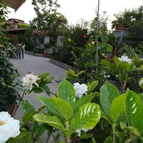 Villa delle rose, hotel Bova Marinában