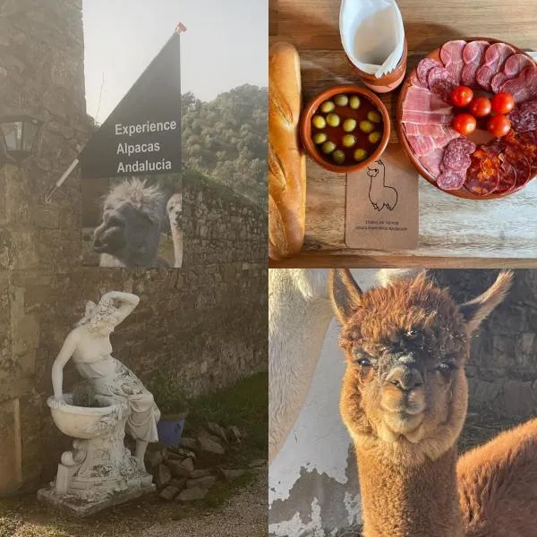 Experience Alpacas in Andalucia, hotel in Cardeña