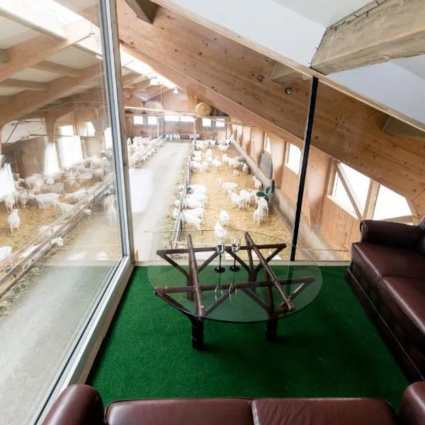 Auszeit am Ziegenhof nur für Erwachsene "FERIENWOHNUNG"、Schlierbachのホテル