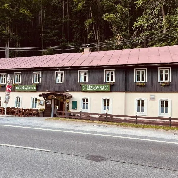 POD SVATOU ANNOU - penzion a řízkovna, hotel u gradu 'Horní Maršov'