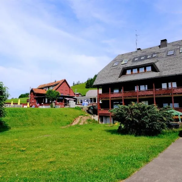 Hotel Sonnenmatte Titisee B und B nahe Badeparadies, hotell i Titisee