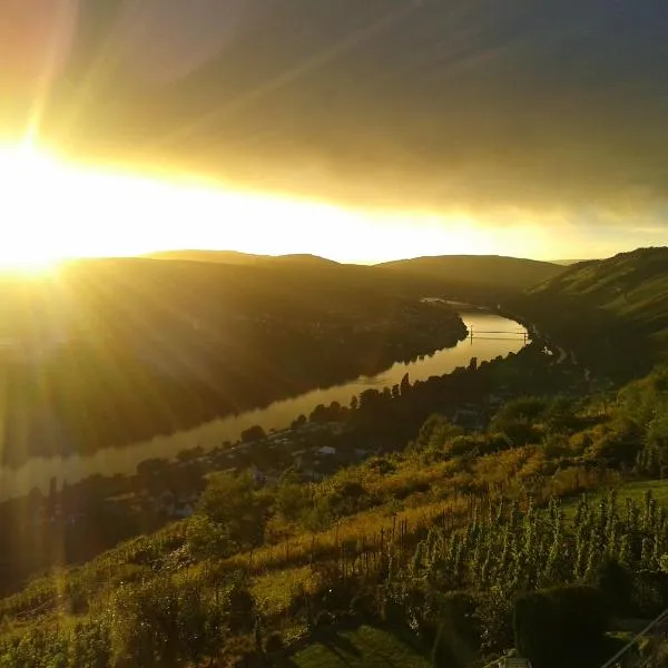 Apartment an der Mosel 2, hotel v destinaci Graach