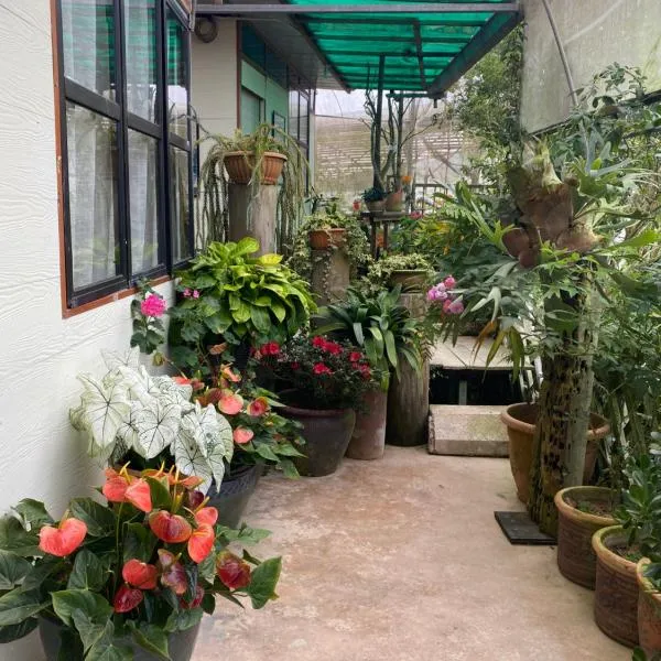 New Farmer Hut 2, hotel en Brinchang
